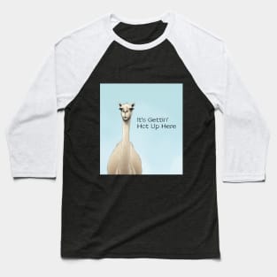 Camel it's gettin' hot up here Baseball T-Shirt